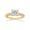 Anillo Oro 10k - Pavé Doble Fila con Zirconias Corte Princesa