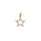 Dije Oro 10k - Estrella con Zirconias