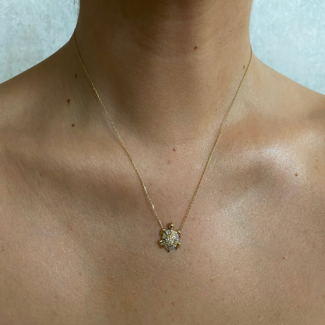 Gargantilla Oro 10k - Tortuga con Zirconias