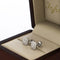 Broquel Oro Blanco 14k - Cuadro con Diamantes con un Peso Total de 31 Puntos